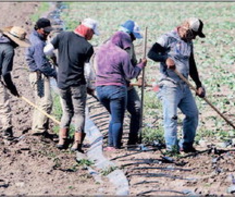 farmer-workers